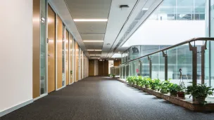 Hallway with carpet and potted plants, photograph.