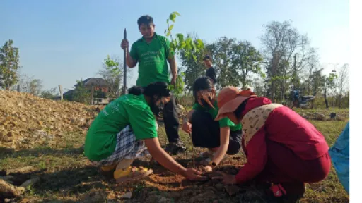 People planting a tree in an open grassy field. 