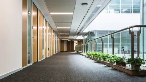 Hallway with carpet and potted plants, photograph.